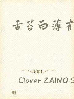 舌苔白薄有齿痕