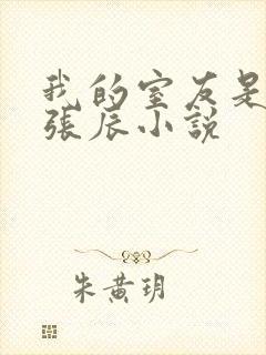 我的室友是直男张辰小说