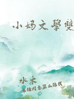 小妈文学双男主