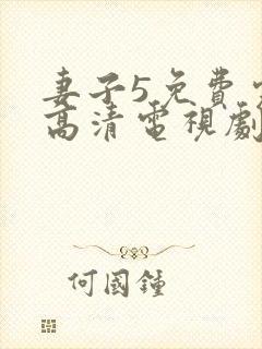 妻子5免费完整高清电视剧看