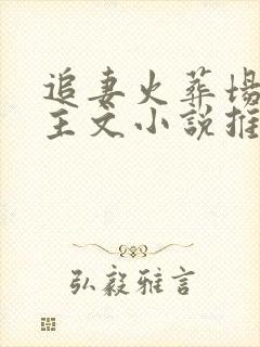 追妻火葬场双女主文小说推荐