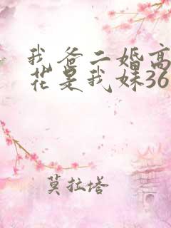 我爸二婚高冷校花是我妹36