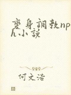 变身调教np高h小说