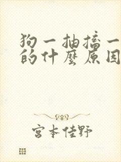 狗一抽搐一抽搐的什么原因