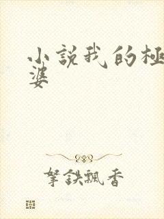 小说我的极品老婆