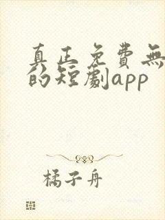 真正免费无广告的短剧app