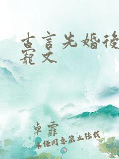 古言先婚后爱甜宠文