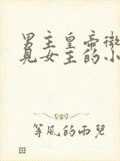 男主皇帝微服遇见女主的小说