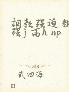 调教强迫 粗暴强j 高h np