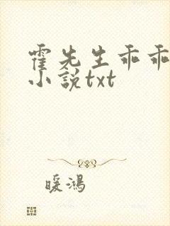 霍先生乖乖宠我小说txt