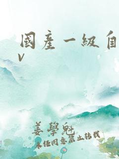 国产一级自拍av