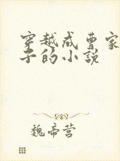 穿越成曹家的儿子的小说