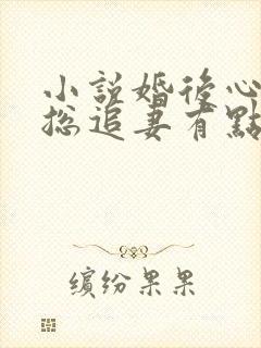 小说婚后心动凌总追妻有点甜免费阅读