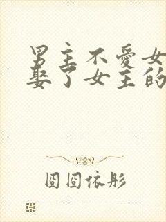 男主不爱女主却娶了女主的虐文