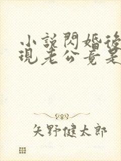 小说闪婚后,发现老公竟是千亿大佬txt