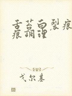 舌苔白裂痕有齿痕调理