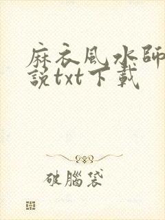 麻衣风水师 小说txt下载