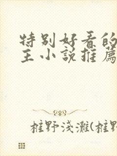 特别好看的双男主小说推荐