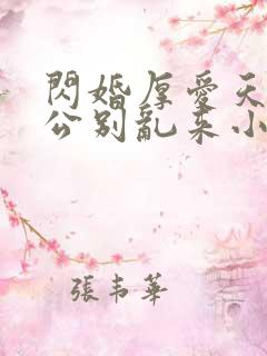 闪婚厚爱天价老公别乱来小说