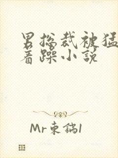 男总裁被猛男按着躁小说