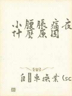 小腹胀痛夜尿多什么原因