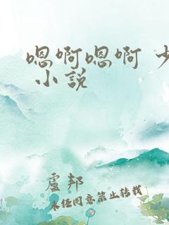 嗯啊嗯啊 少妇 小说