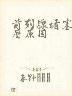 前列腺堵塞是什么原因