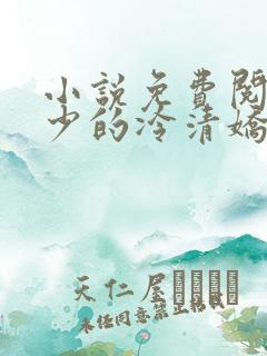 小说免费阅读傅少的冷清娇妻