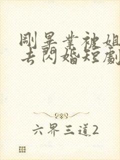 刚毕业被姐姐拉去闪婚短剧