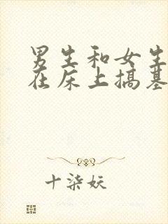 男生和女生一起在床上搞基