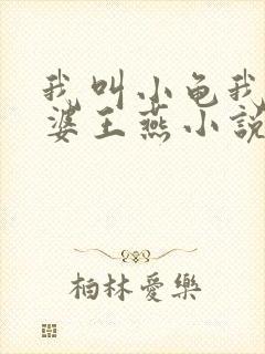 我叫小龟我的老婆王燕小说
