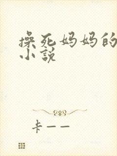 操死妈妈的逼了小说