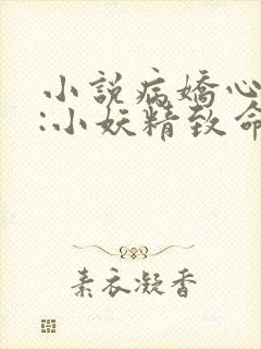 小说病娇心上欢:小妖精致命又凶残