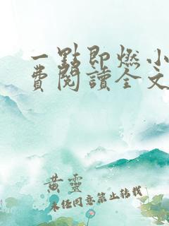 一点即燃小说免费阅读全文无弹窗