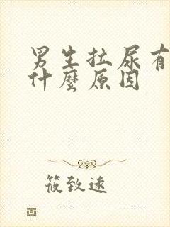 男生拉尿有血是什么原因