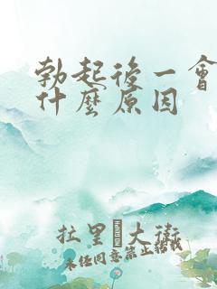 勃起后一会就软什么原因