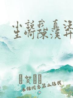 小说我真没想重生啊陈汉升正版