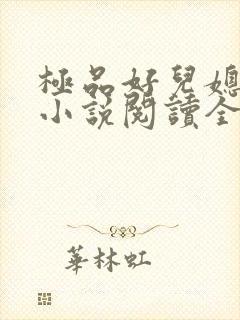 极品好儿媳苏媚小说阅读全文最新章