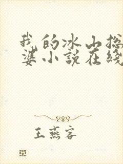 我的冰山总裁老婆小说在线