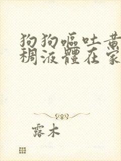 狗狗呕吐黄色粘稠液体在家怎么治