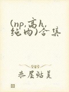 (np,高h,纯肉)合集