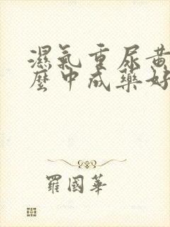 湿气重尿黄吃什么中成药好