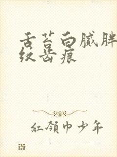 舌苔白腻胖大裂纹齿痕