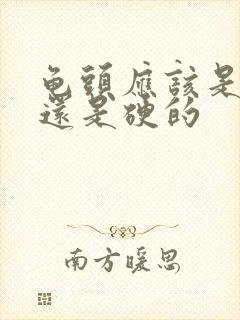 龟头应该是软的还是硬的