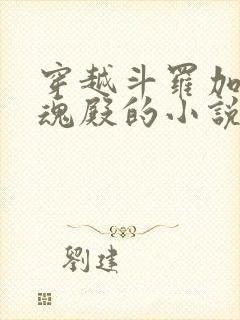 穿越斗罗加入武魂殿的小说