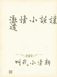 激情小说让人湿透