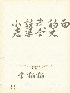 小说我的白富美老婆全文