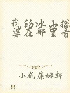 我的冰山总裁老婆在哪里看小说