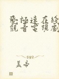 飞极速在线免费观看电视剧