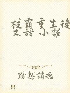 校霸重生后又撩又甜 小说